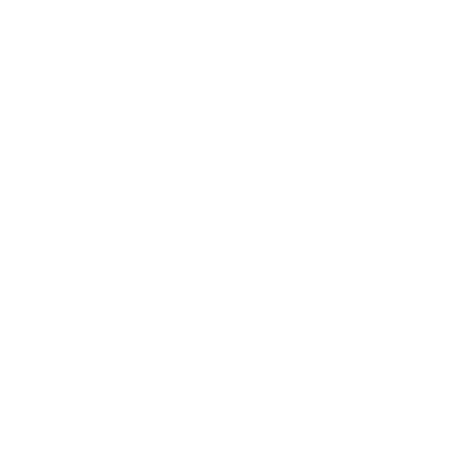 STS logo